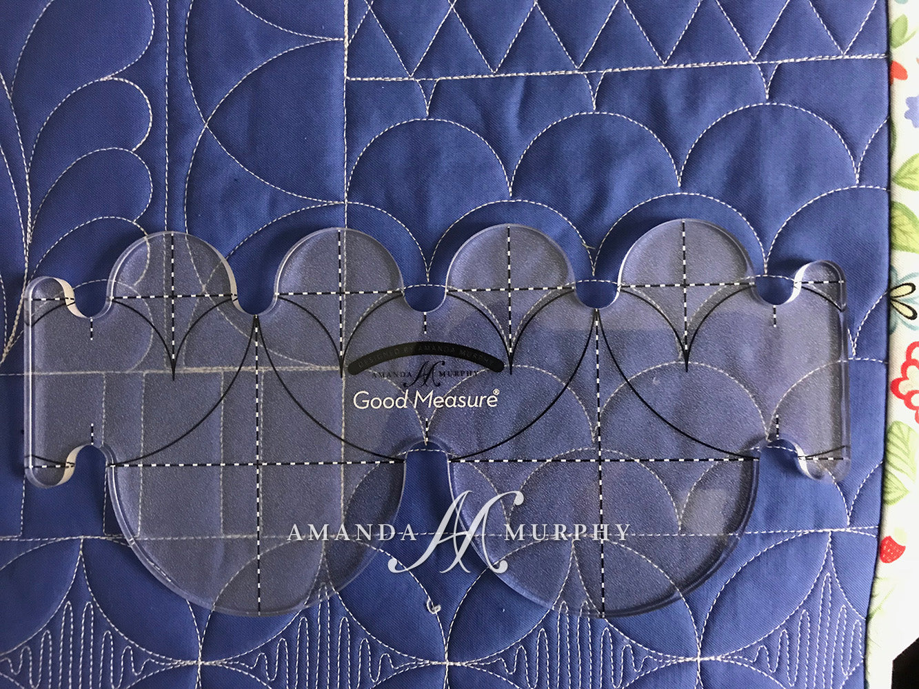 Amanda Murphy LA Every Clamshell 2pc