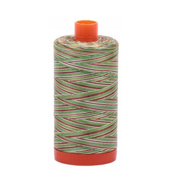 Aurifil Mako Cotton Embroidery Thread 50wt 1422yds Variegated Leaves