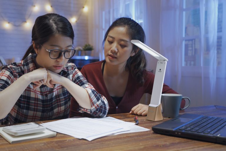 SmartGo™ Travel Lamp