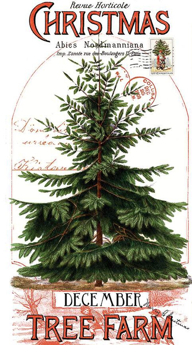 Riley Blake Designs Fabric - Classic Christmas - 24in x 43in Christmas Botanical Main Panel