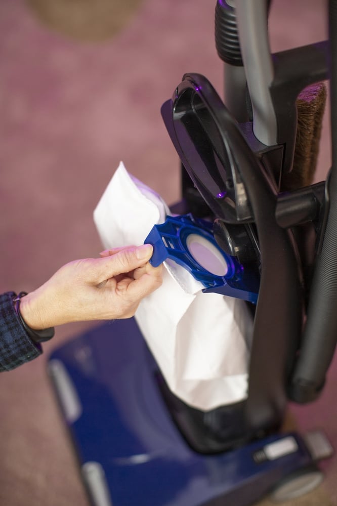 Tandem Air Deluxe Upright Vacuum