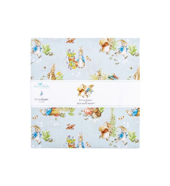 PETER RABBIT AND BENJAMIN BUNNY 10 INCH STACKER 42PCS