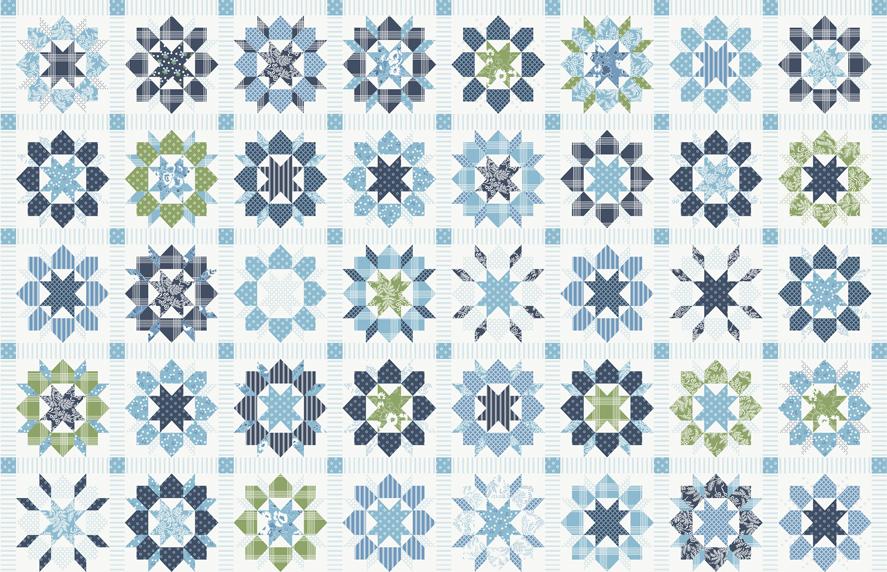 F123 100% Cotton 36"x60" By The Yard
