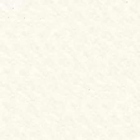 PER YARD WOOL FELT WHITE 36INX10YD