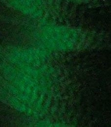LGPF0200 - Floriani Embroidery Thread, 5,500yd Spool GREEN200